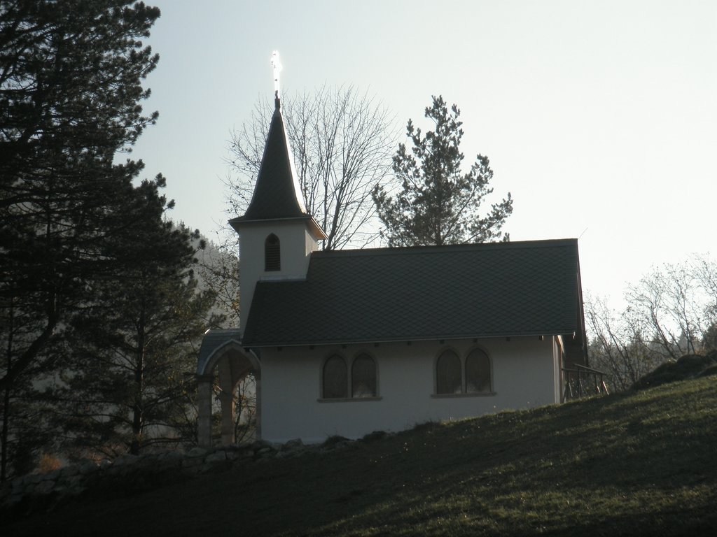 PB010066.JPG