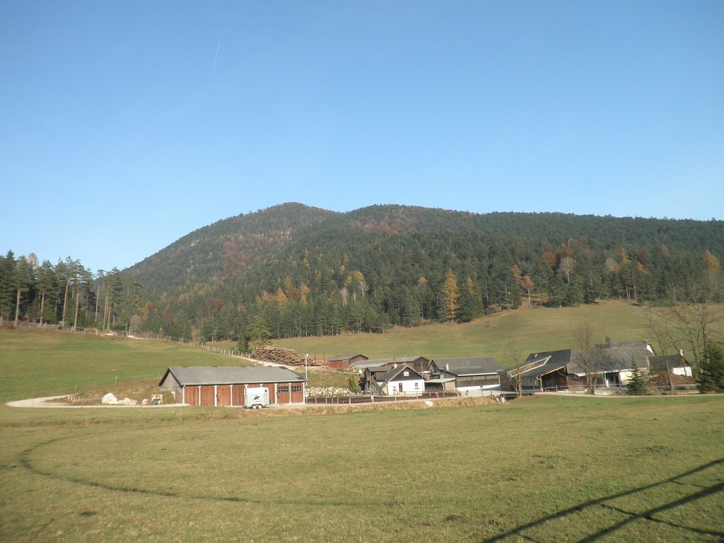 PB010067.JPG