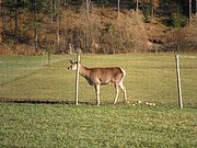 PB010003.JPG
