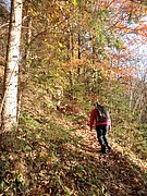 PB010006.JPG
