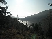 PB010014.JPG