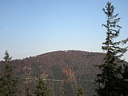 PB010021.JPG