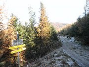 PB010027.JPG