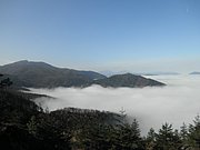 PB010030.JPG