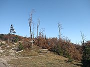 PB010032.JPG