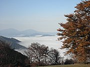 PB010034.JPG