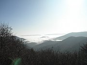 PB010042.JPG