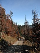 PB010047.JPG