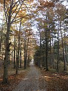 PB010050.JPG