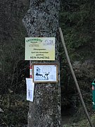 PB010058.JPG