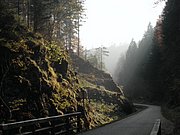 PB010062.JPG