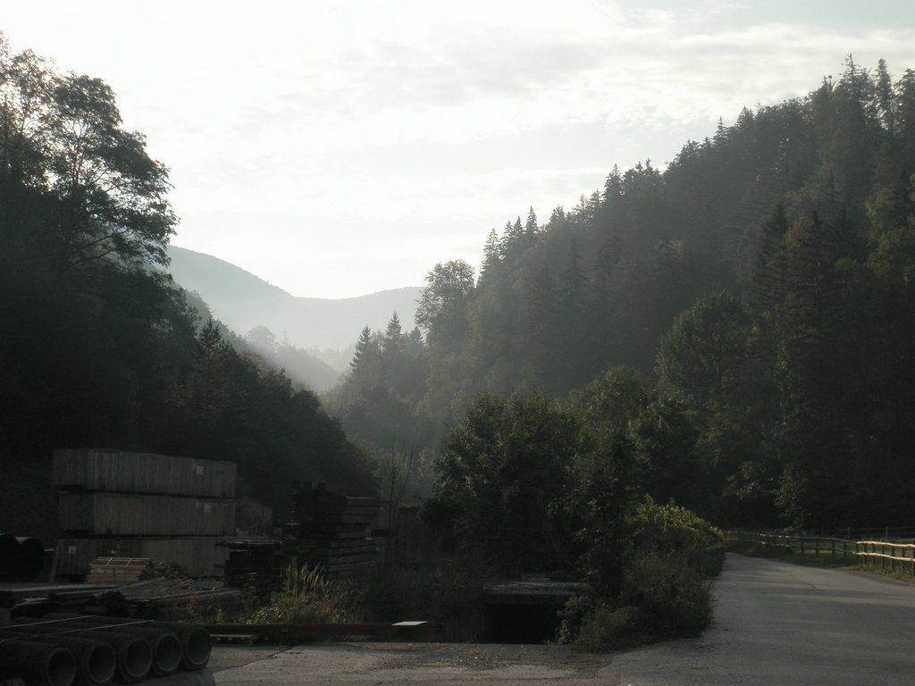 P9170221.JPG