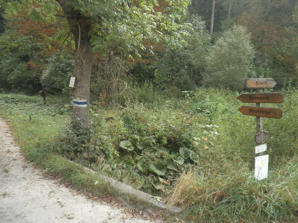 P9170222.JPG