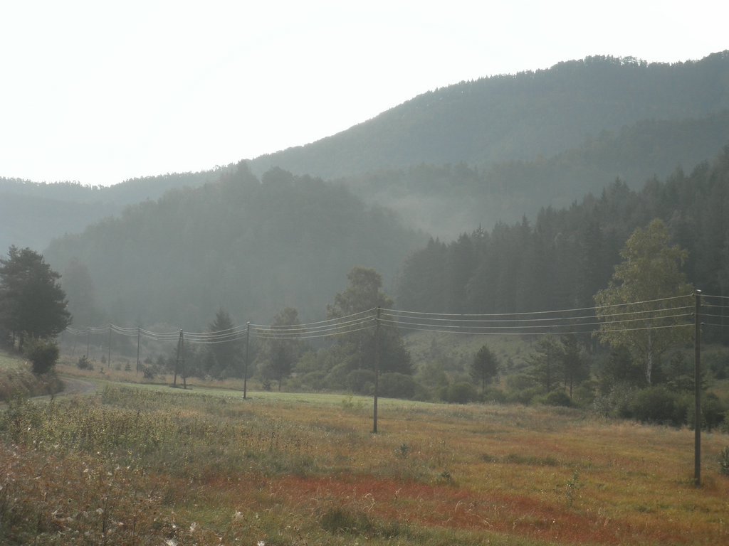 P9170231.JPG