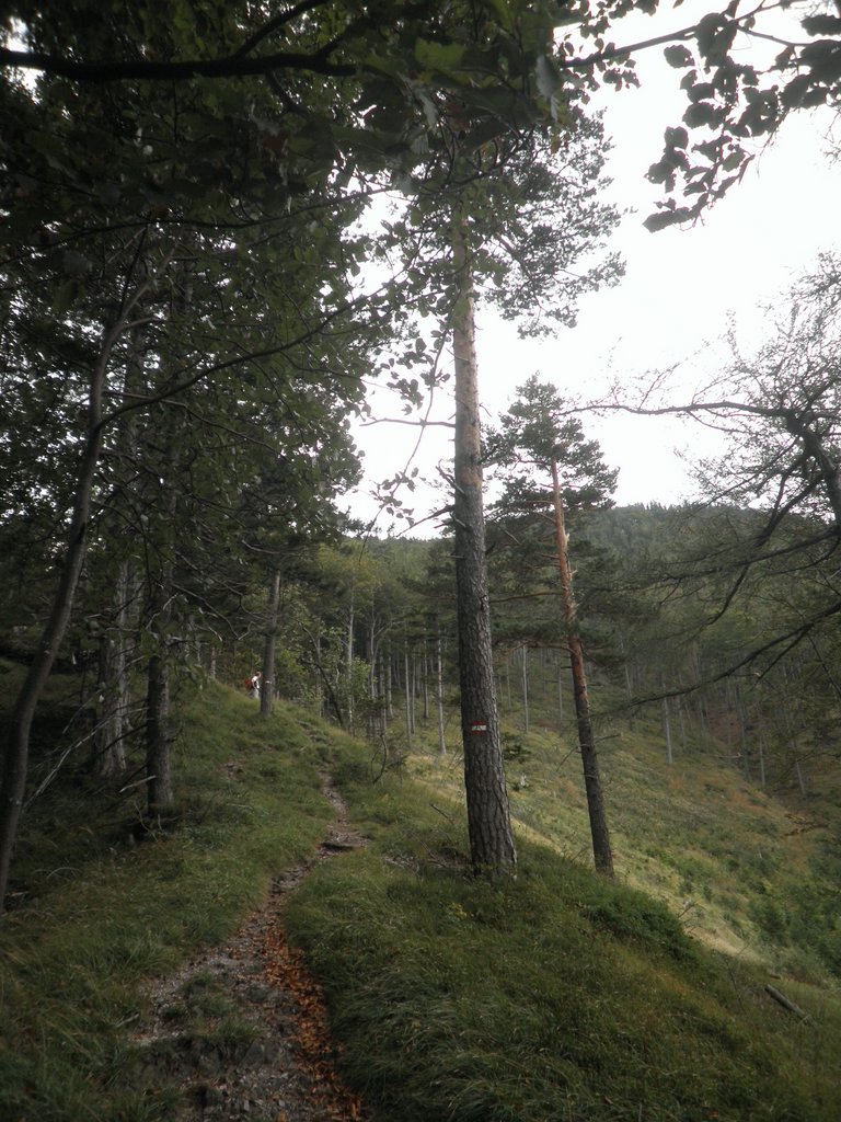 P9170234.JPG