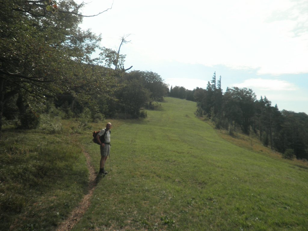 P9170239.JPG