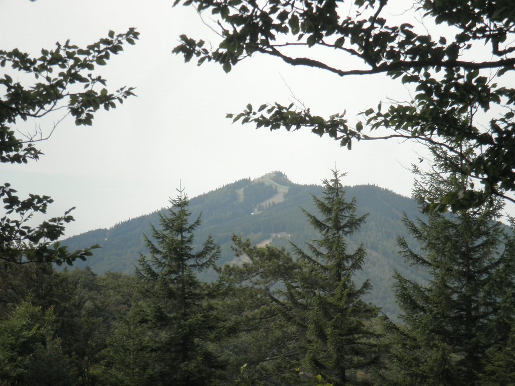 P9170240.JPG