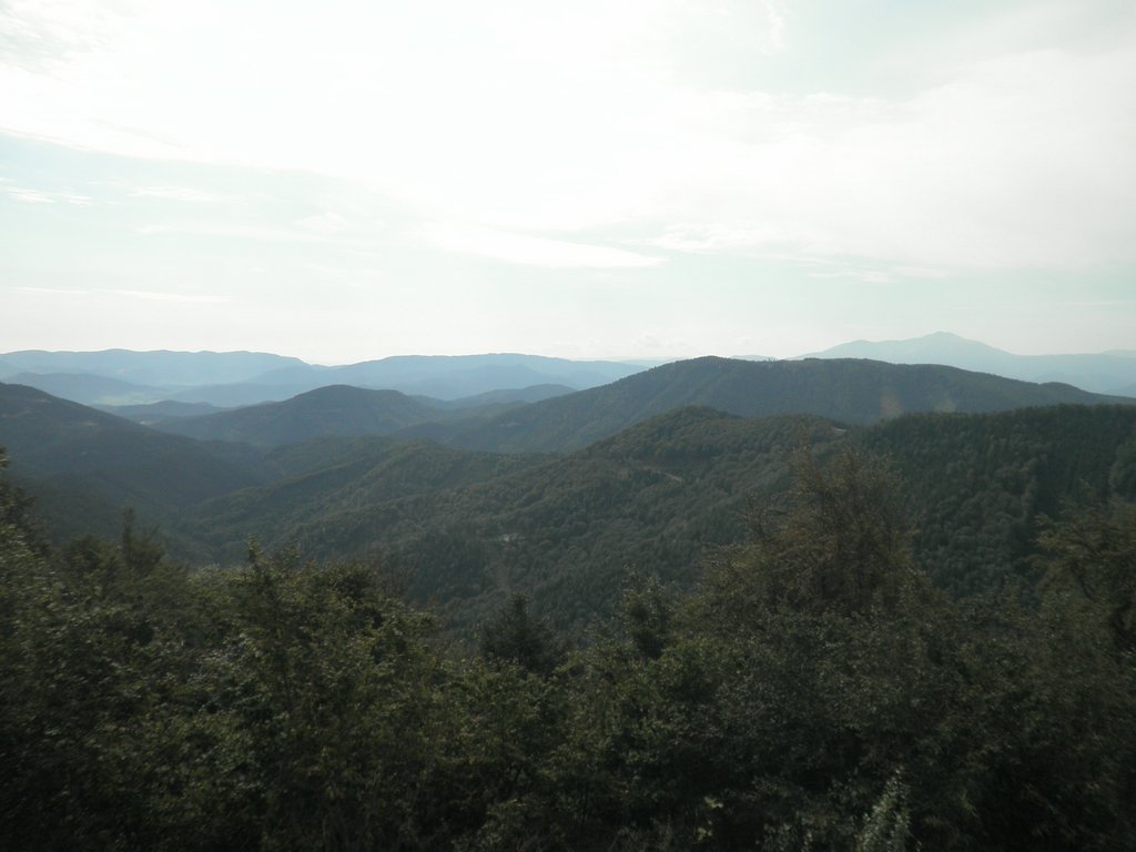 P9170244.JPG
