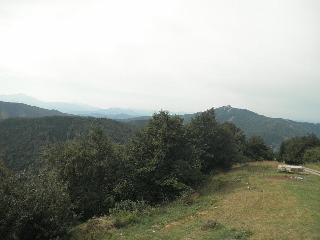 P9170245.JPG