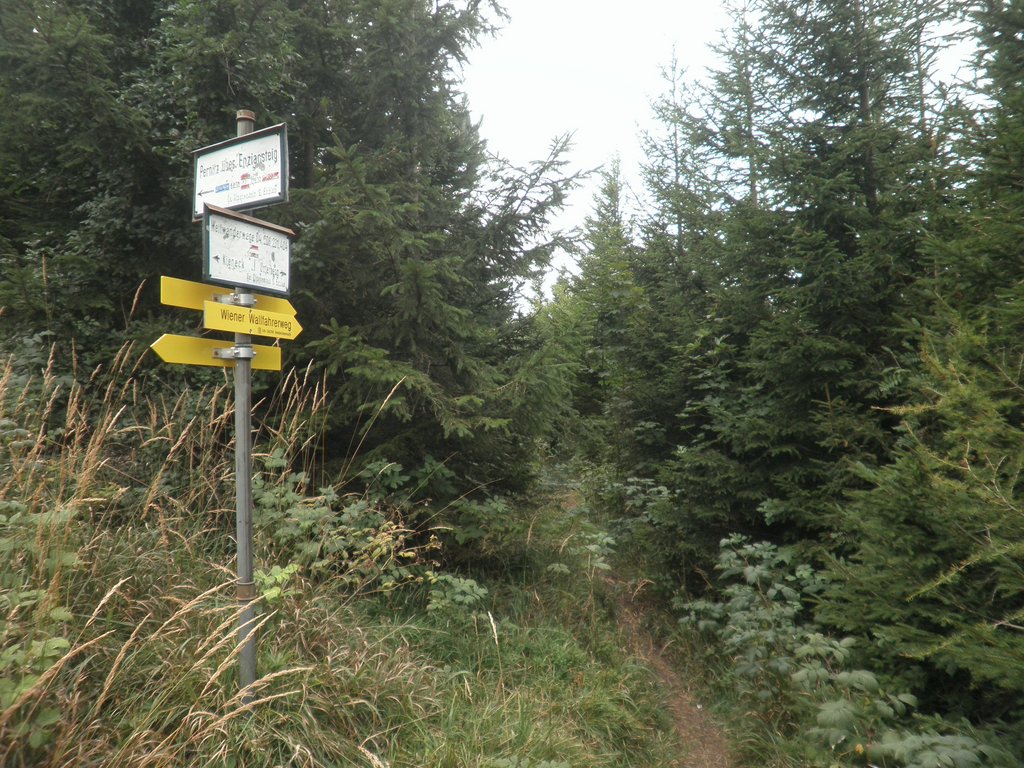 P9170247.JPG