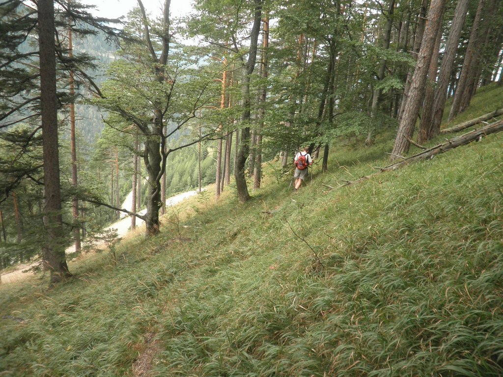 P9170251.JPG