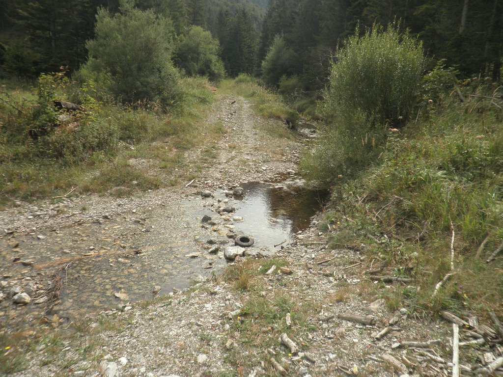 P9170257.JPG