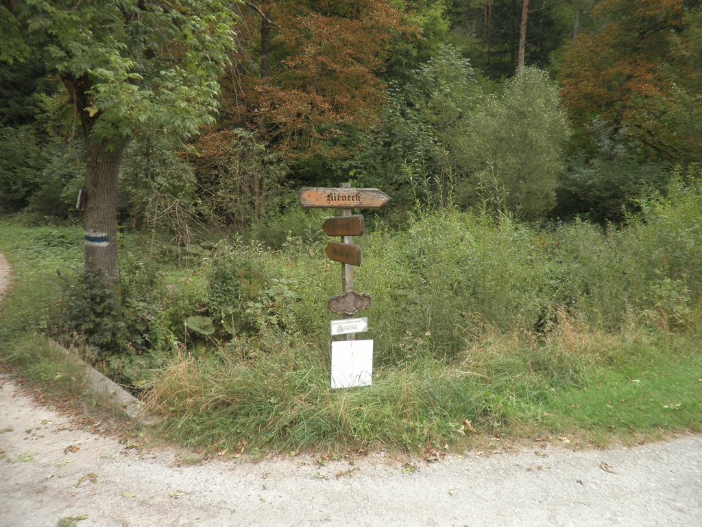 P9170267.JPG