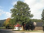 P9170218.JPG