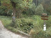 P9170222.JPG