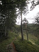 P9170234.JPG