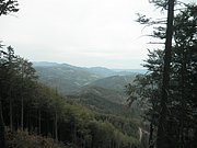 P9170235.JPG