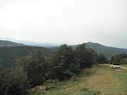 P9170245.JPG