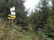 P9170247.JPG