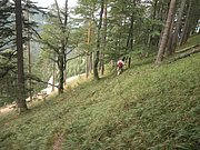 P9170251.JPG