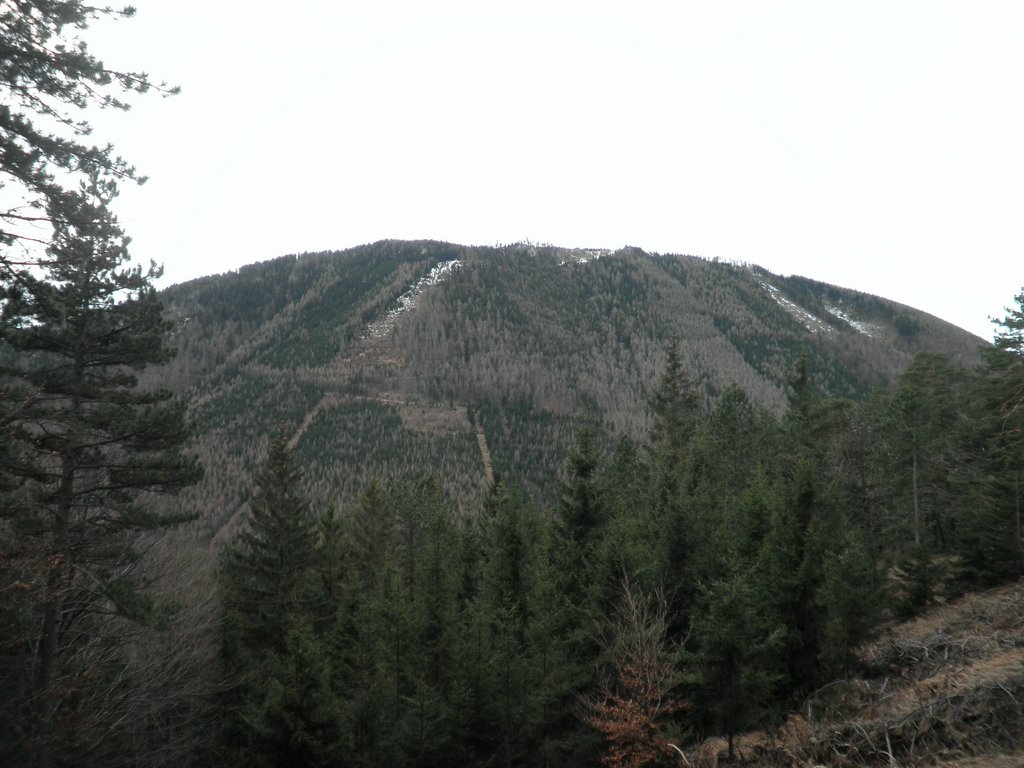PC300026.JPG