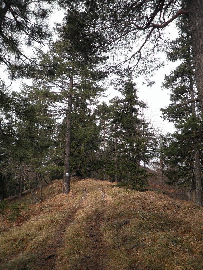 PC300027.JPG