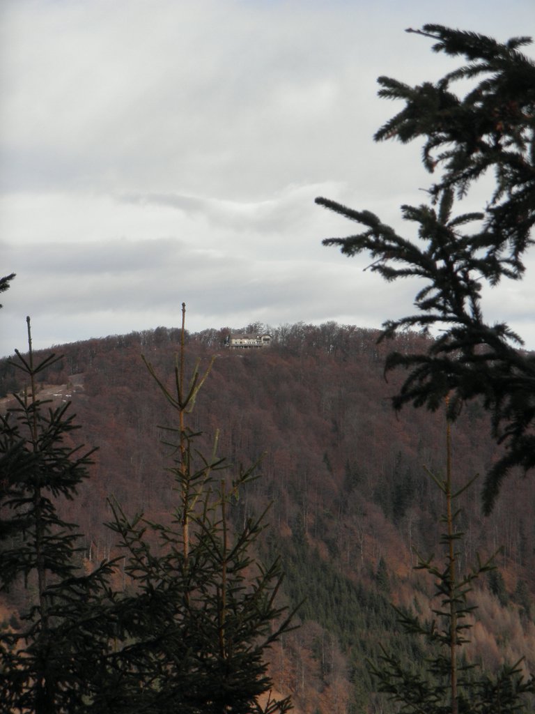 PC300032.JPG