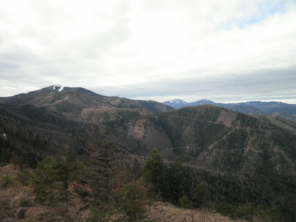 PC300035.JPG