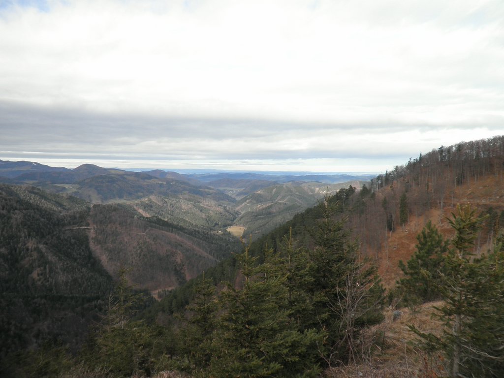 PC300036.JPG