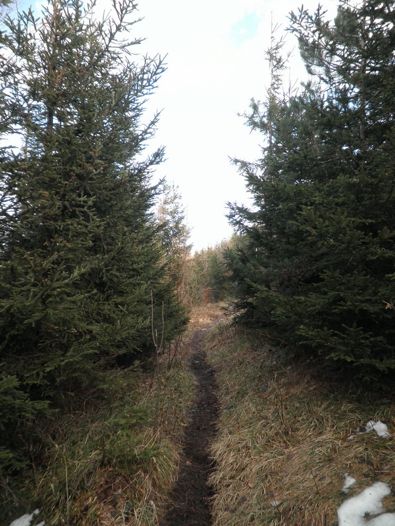 PC300049.JPG