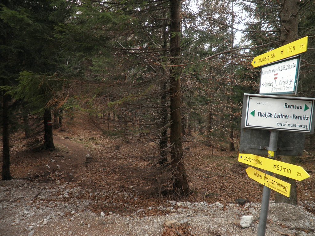 PC300051.JPG