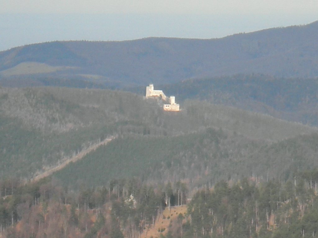 PC300054.JPG