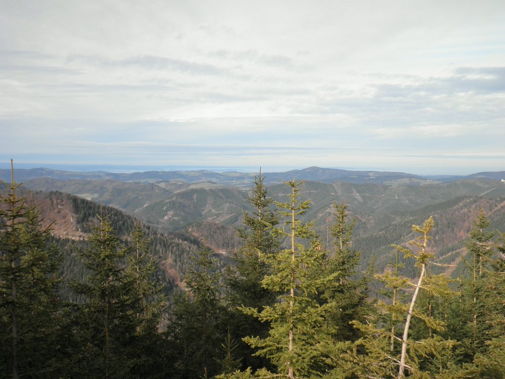 PC300055.JPG