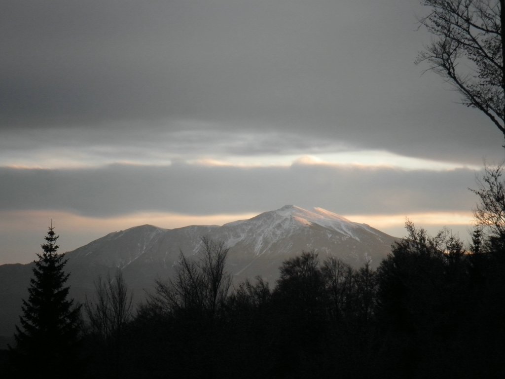 PC300092.JPG