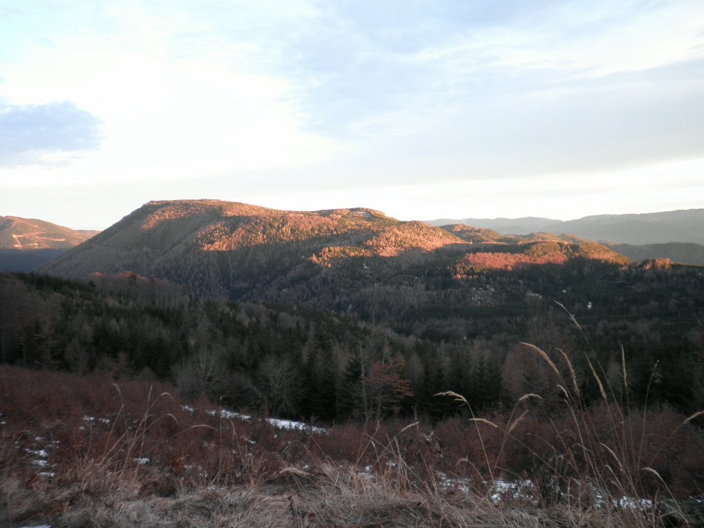 PC300093.JPG