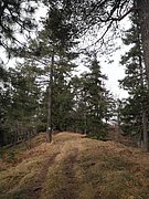 PC300027.JPG