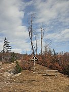 PC300037.JPG