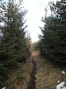PC300049.JPG