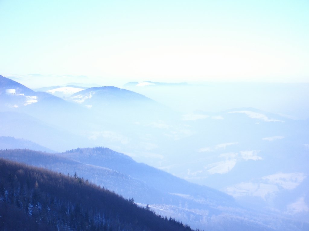 CIMG3634.JPG