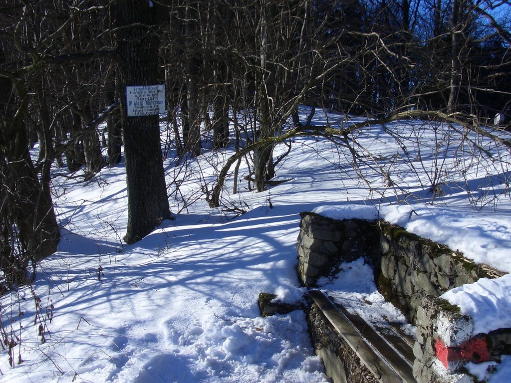 CIMG3638.JPG